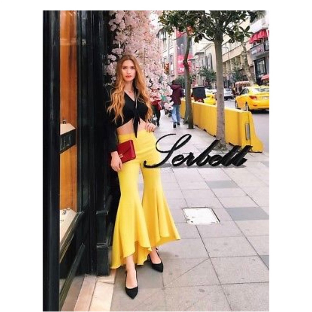 Zara Asymmetric Flare Pants